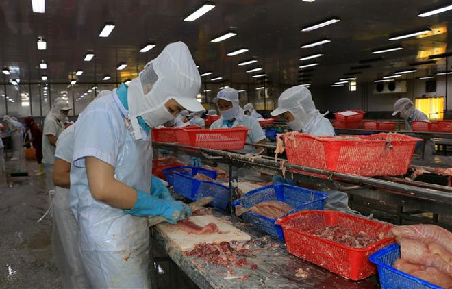 Doanh nghiệp lựa chọn chiến lược tăng trưởng trên hành trình hội nhập ảnh 2