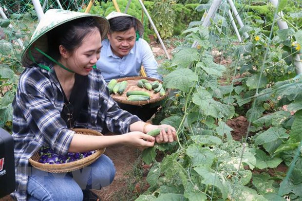 Hà Nội thúc đẩy du lịch nông nghiệp, nông thôn, Tăng trưởng Xanh ảnh 1