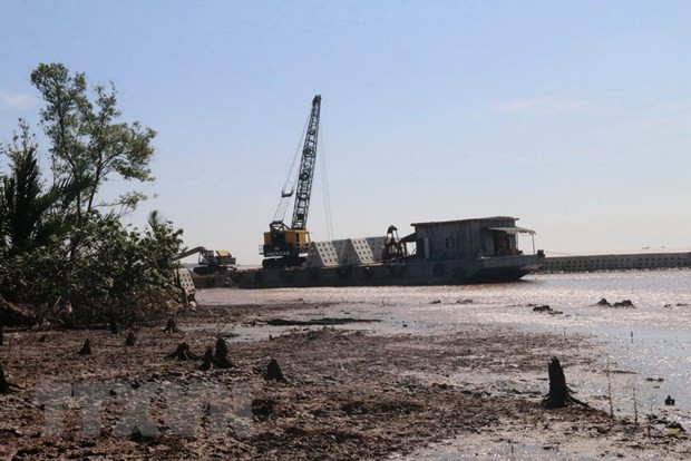 Cà Mau "gồng mình" ứng phó với tình trạng sạt lở ven biển ảnh 2