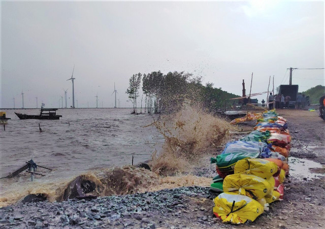Bạc Liêu: Công bố tình huống khẩn cấp sự cố sạt lở đê biển Đông ảnh 1