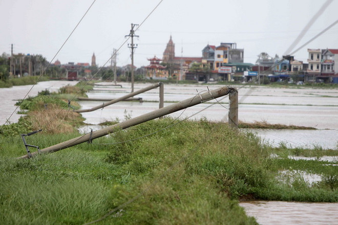 Đại diện Điện lực miền Bắc: Các cột điện đổ do bão đều đạt chuẩn ảnh 1