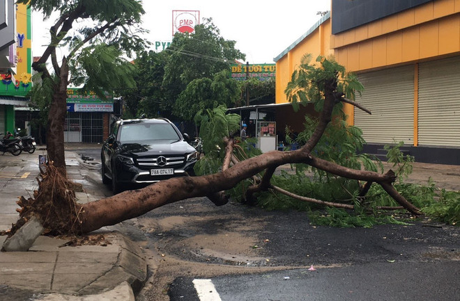 Phú Yên: Bão số 5 gây ngập úng 70ha lúa và hoa màu, 72 xã mất điện ảnh 1