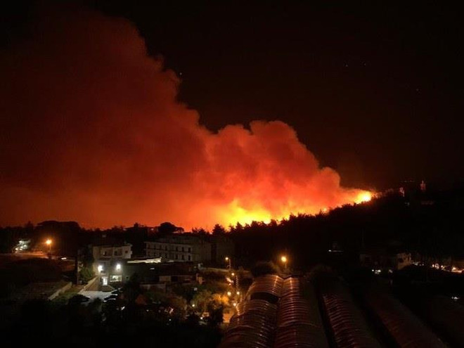 Cháy rừng bùng phát ở Liban. (Nguồn: arabnews.com) Liban trải qua thảm họa cháy rừng tồi tệ nhất trong nhiều thập kỷ ảnh 1