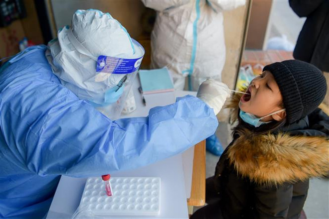 Dịch COVID-19: Thế giới ghi nhận trên 263 triệu ca nhiễm mới ảnh 1