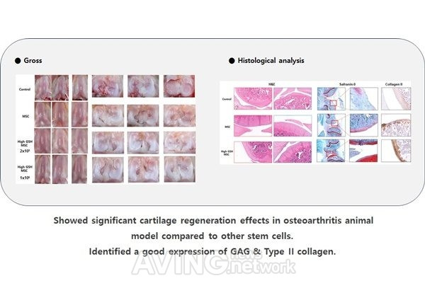 Công nghệ giúp khám phá các sản phẩm trị liệu tế bào chất lượng cao ảnh 1
