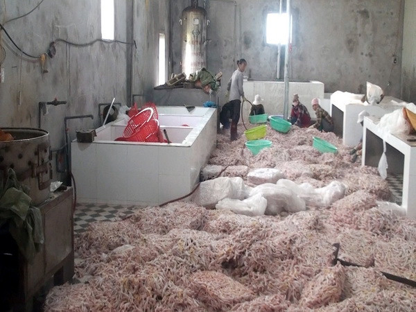 Tiêu hủy lượng lớn chân gà đông lạnh không rõ nguồn gốc ảnh 1