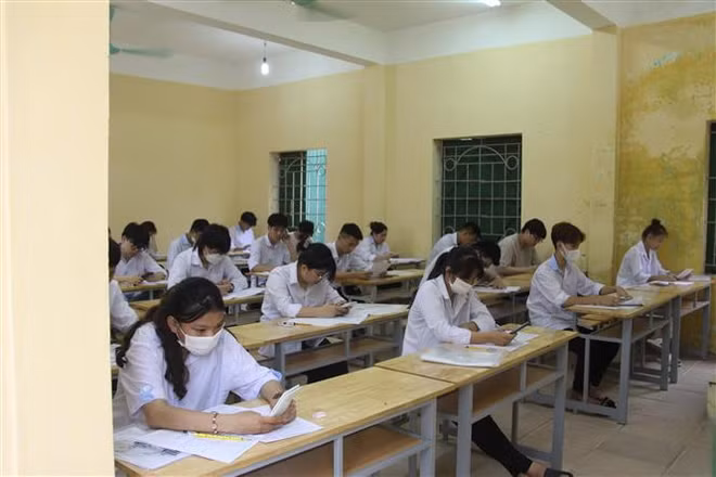Bộ Giáo dục và Đào tạo công bố phổ điểm một số khối thi ảnh 1