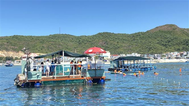 Hai bè đưa khách lặn ngắm san hô của hai hộ dân tại đảo Hòn Khô Nhỏ hoạt động tự phát và nằm trong khu vực khoanh vùng bảo vệ rạn san hô 12ha. (Ảnh: Tường Quân/TTXVN) Bình Định: Chấn chỉnh các nhà hàng bè nổi hoạt động tự phát ở Hòn Khô ảnh 2