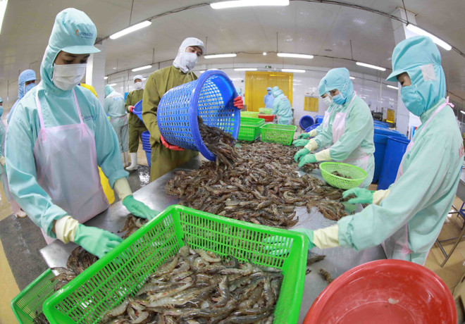 Nông nghiệp - trụ đỡ của nền kinh tế vững vàng vượt sóng về đích ảnh 1