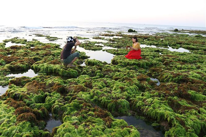 Du lịch Việt Nam sau đại dịch COVID-19: Nắm cơ hội, vượt thách thức ảnh 3