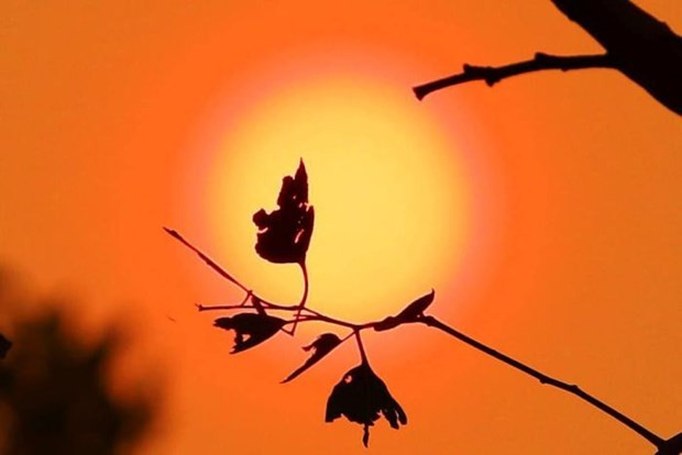 Số người bị ảnh hưởng bởi nắng nóng tăng gấp 4 lần vào cuối thế kỷ ảnh 1