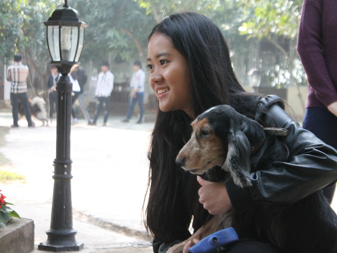 Hàng trăm chú cún cưng cùng hội tụ ở bãi đá sông Hồng ảnh 2