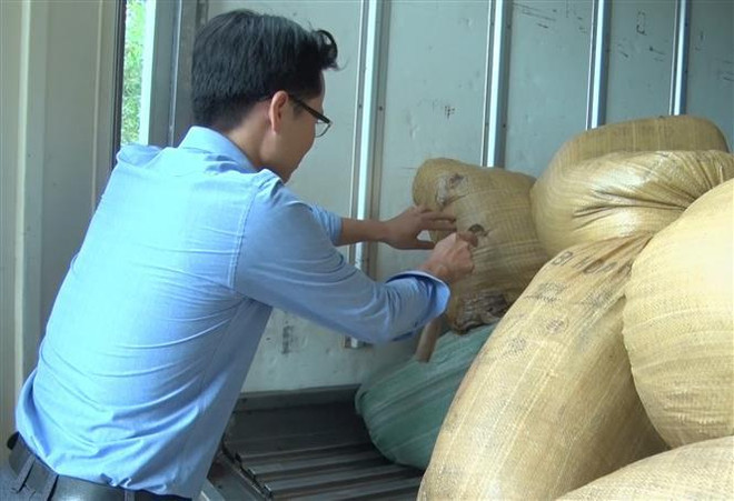 Hưng Yên bắt giữ và tiêu hủy hơn 2 tấn nội tạng lợn hôi thối ảnh 1