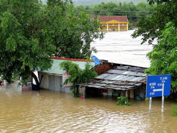 Bị lật canô khi đi cứu trợ, chủ doanh nghiệp kẹt trên cây suốt 11 giờ ảnh 1