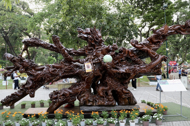 ttxvn_hoi hoa xuan tphcm (2).jpeg