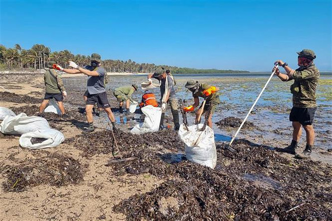 Bãi biển tại 9 thành phố Philippines ô nhiễm sau vụ chìm tàu chở dầu ảnh 1