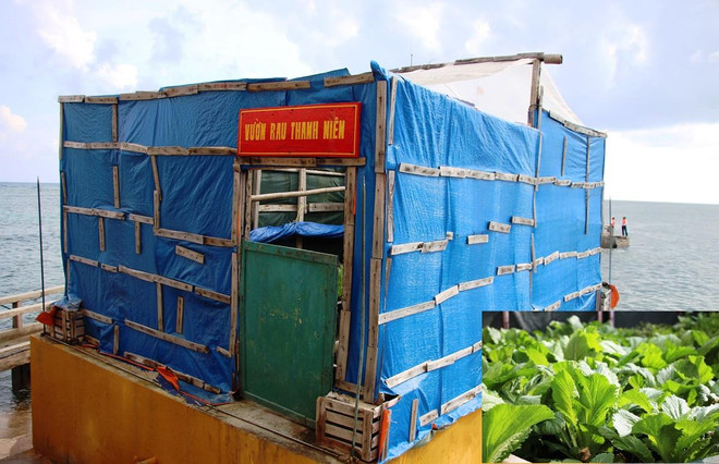 ‘Sức sống xanh’ trường tồn nơi đầu sóng ngọn gió Trường Sa ảnh 4