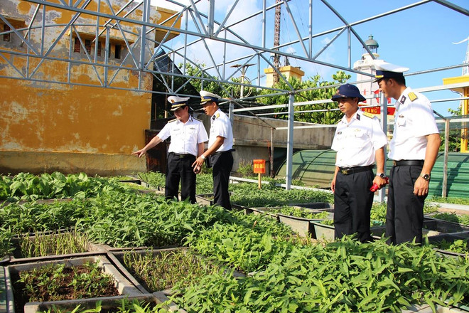 ‘Sức sống xanh’ trường tồn nơi đầu sóng ngọn gió Trường Sa ảnh 2