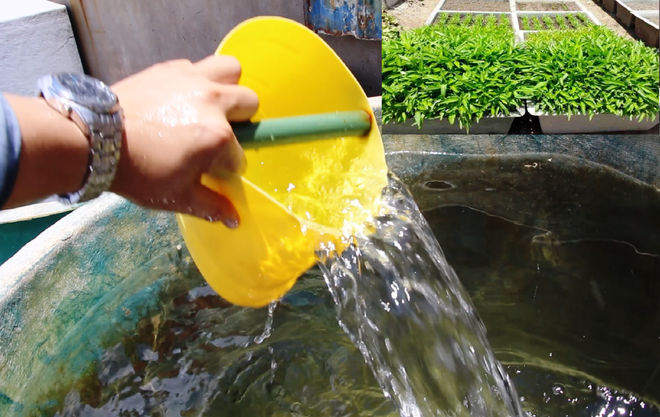 Bài 2: ‘Bầu sữa quý’ giữa trùng khơi giúp Trường Sa thay da đổi thịt ảnh 3