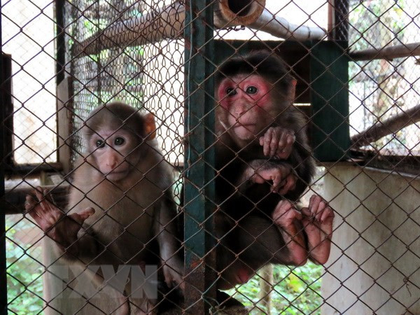 Hoàn thiện pháp luật động vật hoang dã: Ghi nhận ở các cơ sở nuôi nhốt ảnh 2