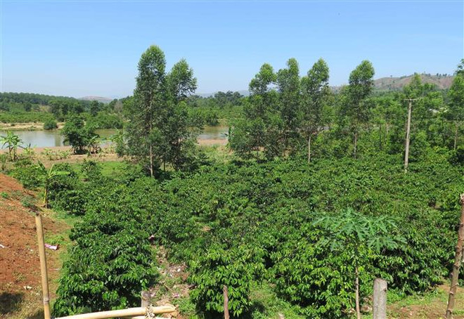 Vụ thủy điện gây ngập ở Kon Tum: 13 hộ dân chưa đồng ý mức đền bù ảnh 1