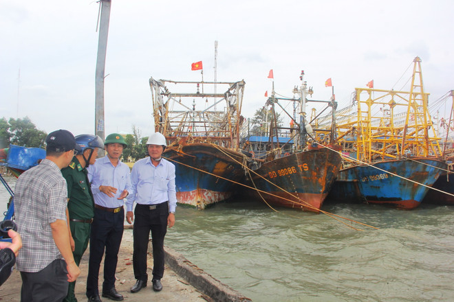 Bão số 9: Bình Định di dời hàng ngàn hộ dân khỏi vùng nguy hiểm ảnh 1