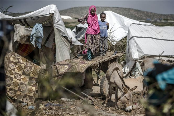 LHQ: Khu vực Sừng châu Phi đối mặt với nạn đói nghiêm trọng ảnh 1