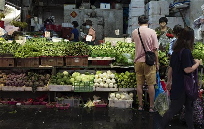 Trung Quốc: Hong Kong đối mặt với tình trạng cạn kiện nguồn rau xanh ảnh 1