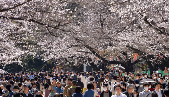 Nhiều quốc gia đóng cửa vì dịch bệnh, vì sao Nhật Bản là một ngoại lệ? ảnh 1