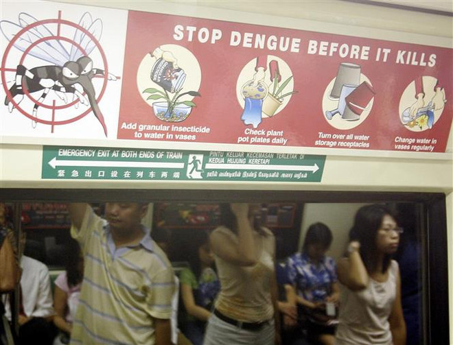 Singapore đối mặt với nguy cơ bùng dịch sốt xuất huyết ảnh 1