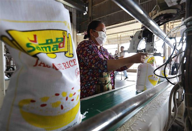 Giá gạo 5% tấm của Việt Nam giảm xuống mức thấp nhất trong một tháng ảnh 1