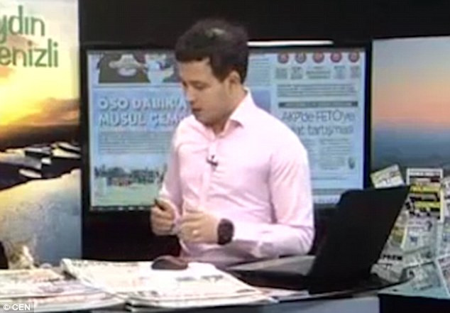 Chú mèo "vô duyên" phá đám chương trình truyền hình trực tiếp ảnh 2