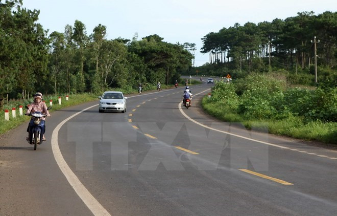Xử lý nghiêm hành vi tự ý dỡ bỏ dải phân cách trên Quốc lộ 1A ảnh 1