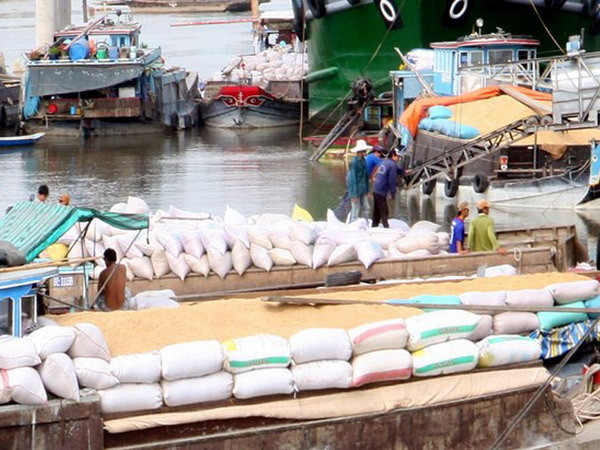 Thúc đẩy sản xuất, tiêu thụ nông sản ở Đồng bằng sông Cửu Long ảnh 1