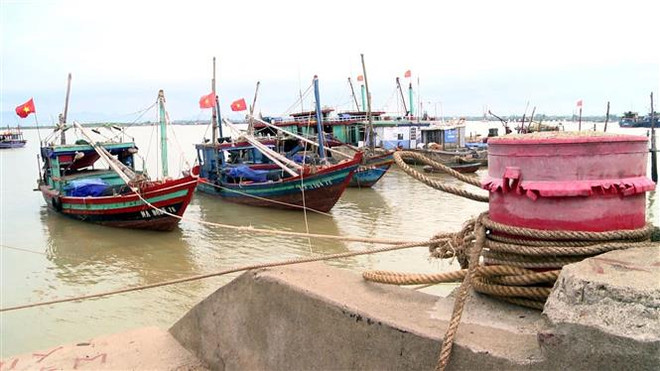 Tàu thuyền vào neo đậu, tránh trú bão. (Ảnh: Tá Chuyên/TTXVN) Quảng Bình: Một ngư dân mất tích khi di chuyển tàu tránh trú bão ảnh 1