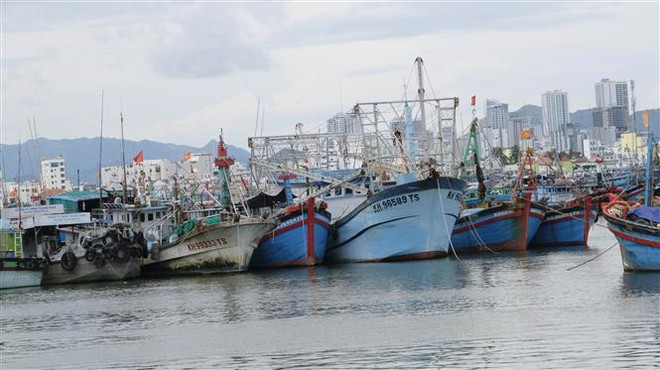 Bão số 4 mạnh cấp 12-13, di chuyển theo hướng Tây và có thể mạnh thêm ảnh 2