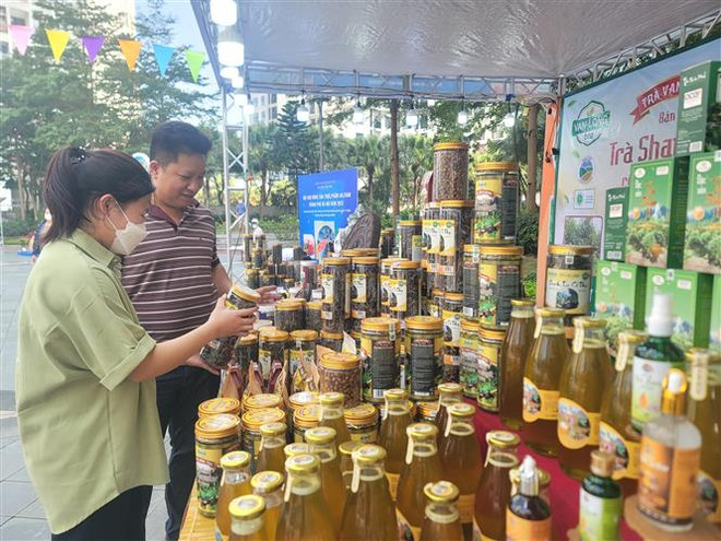 Festival Nông sản Hà Nội 2023 giới thiệu trên 1.500 dòng sản phẩm ảnh 1
