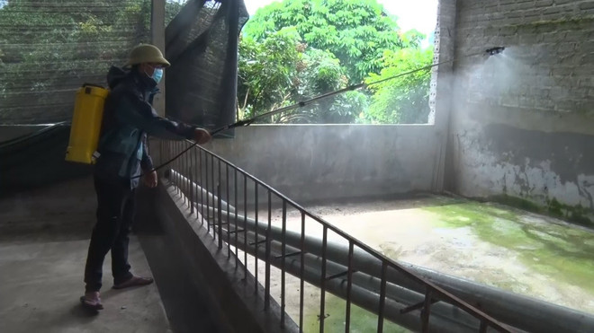 Tiền Giang: Công bố dịch bệnh dịch tả lợn châu Phi tại xã Tân Thới ảnh 1