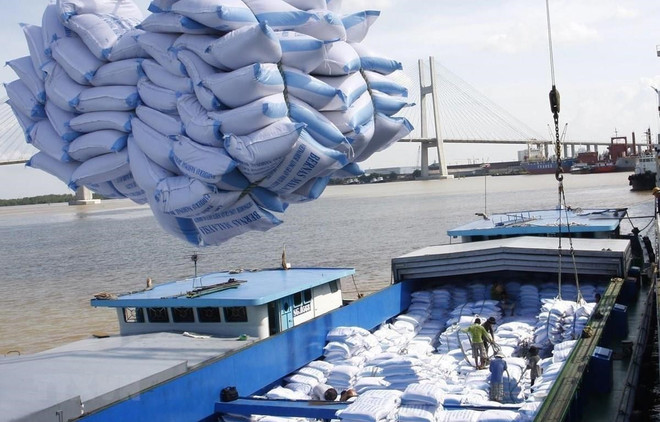 Bốc xếp gạo xuất khẩu sang tại cảng Sài Gòn. (Ảnh: TTXVN) Thị trường nông sản tuần qua: Giá cà phê, tiêu tăng mạnh ảnh 2