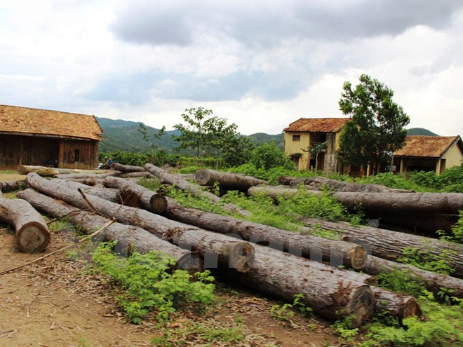 Chuyên gia “hiến kế” tháo gỡ vướng mắc đất nông, lâm trường ảnh 2