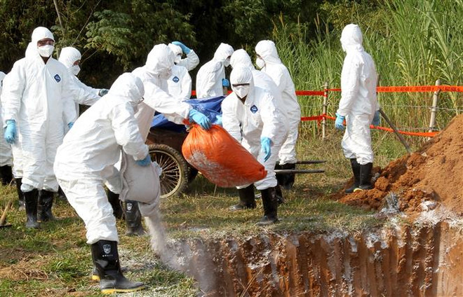 Diễn tập thực hành ứng phó khẩn cấp với dịch tả lợn châu Phi ảnh 1