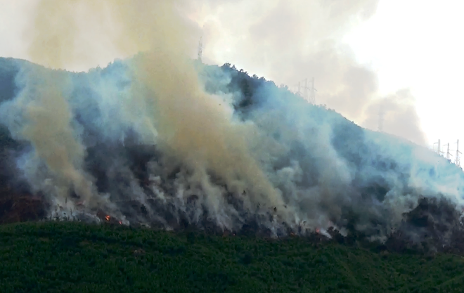 Khẩn cấp ứng phó với tình trạng cháy rừng trong mùa cao điểm ảnh 2