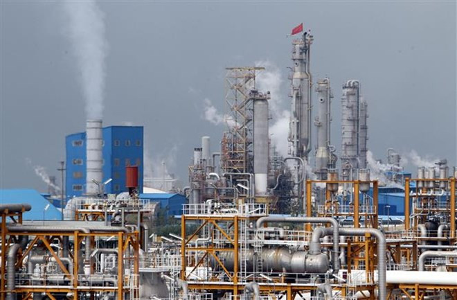 Sự kiện quốc tế 5-11/11: Đảng Dân chủ Mỹ lật ngược thế cờ ảnh 2