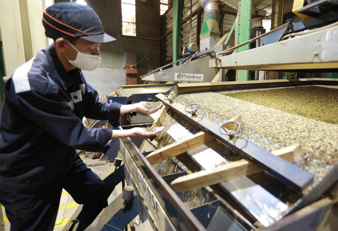 Tiềm năng lớn của nông sản hữu cơ của Việt Nam tại Xứ sở Chuột túi ảnh 1