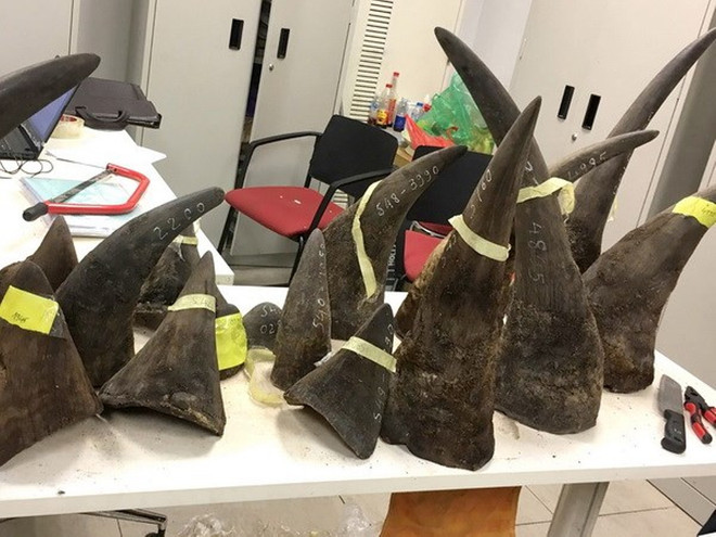Đề xuất tăng nặng hình phạt đối với 'trùm' buôn lậu sừng tê giác ảnh 1