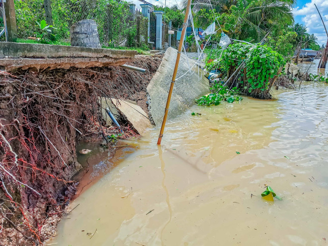 Phát triển thích ứng biến đổi khí hậu: Cà Mau với bài toán giữ đất ảnh 2