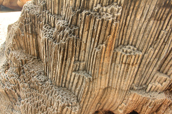 'Đi tìm Mặt Trời' - hành trình tuyệt vời chinh phục 2 mũi cực Đông ảnh 19