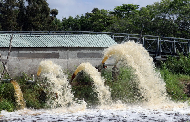 chong chay rung3.jpg