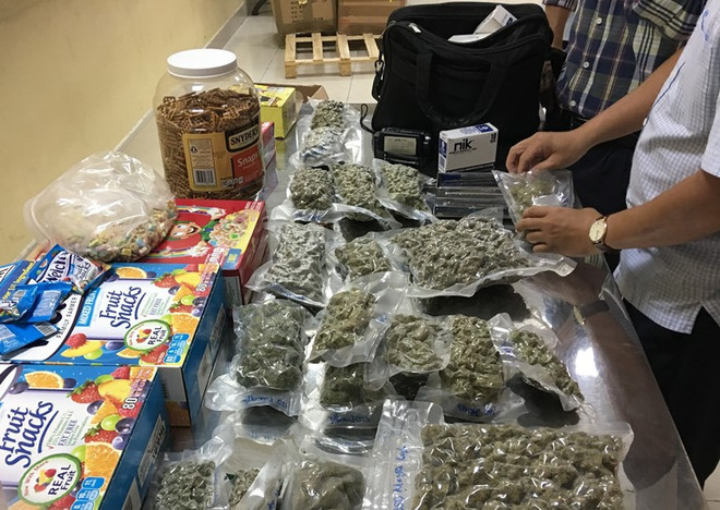 Phát hiện 4kg cần sa giấu tinh vi trong lô hàng gửi từ Mỹ về Việt Nam ảnh 1