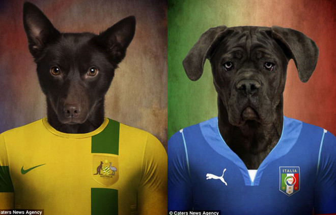 Điểm mặt các đội tuyển dự World Cup qua...ảnh chó ảnh 5